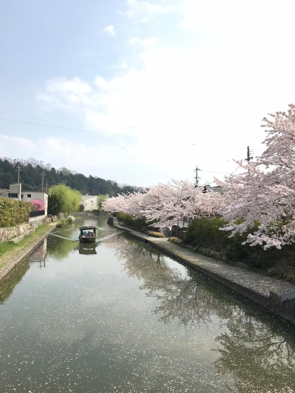 Guesthouse Mio 近江八幡市 外观 照片